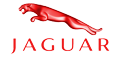 Jaguar Jaguar